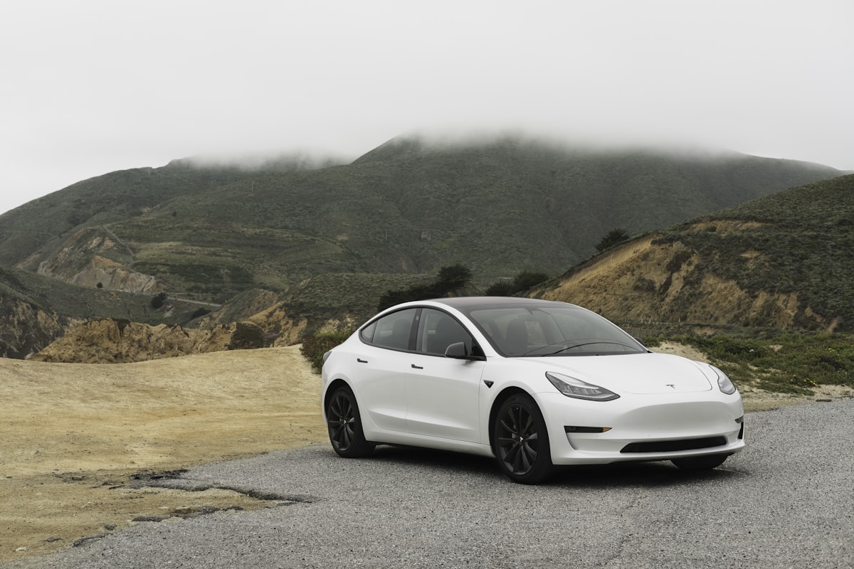 Tesla Model 3 at a scenic overlook